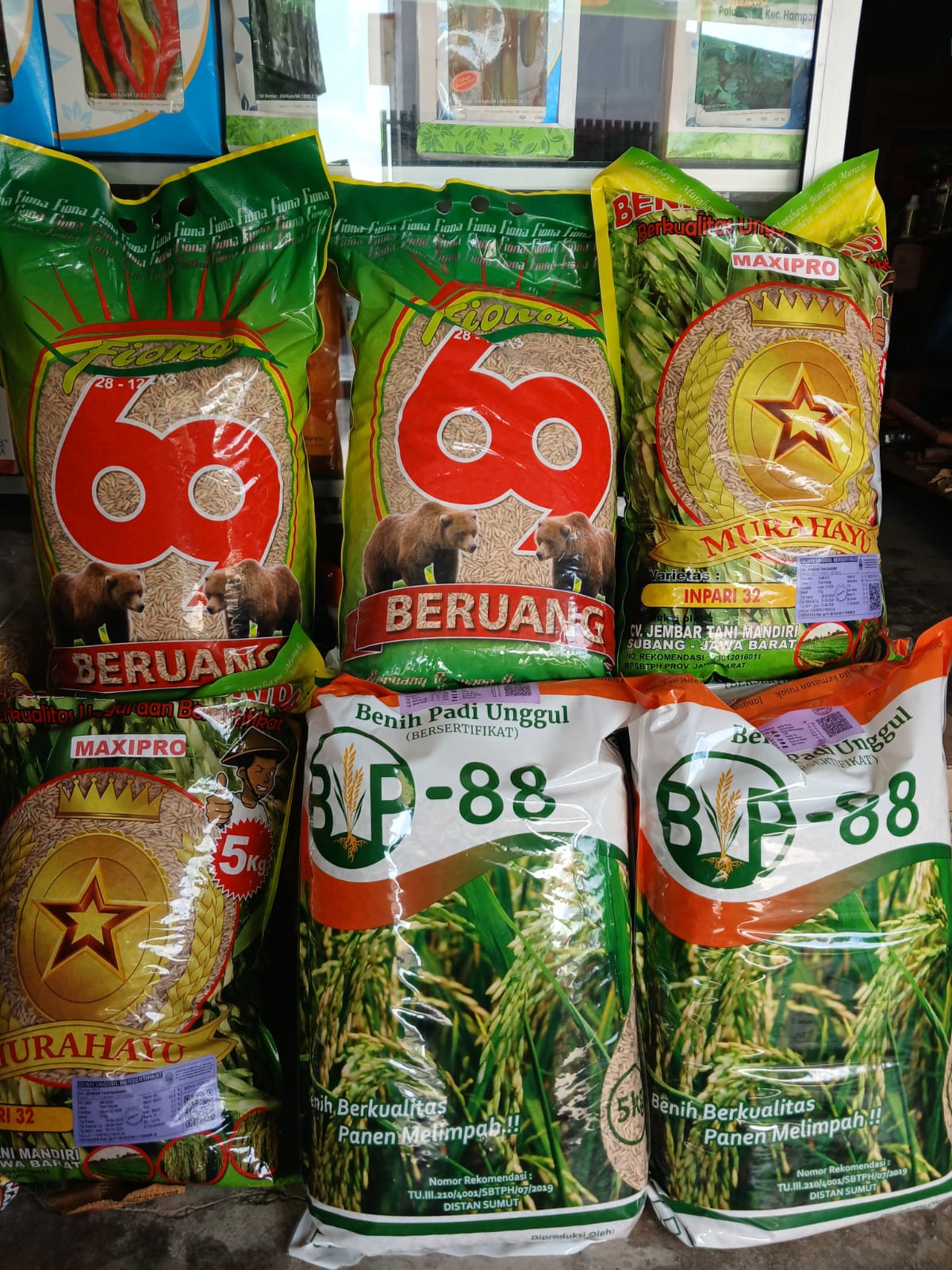 Benih Padi