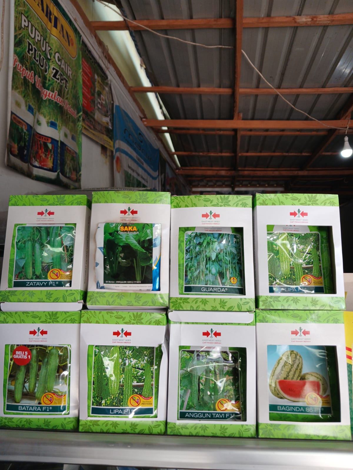 Bibit Tanaman